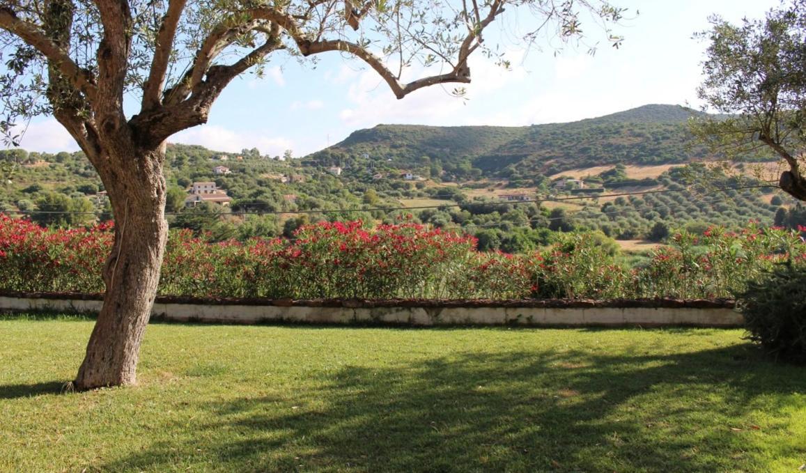 B&B Kapi Country Alghero Kültér fotó