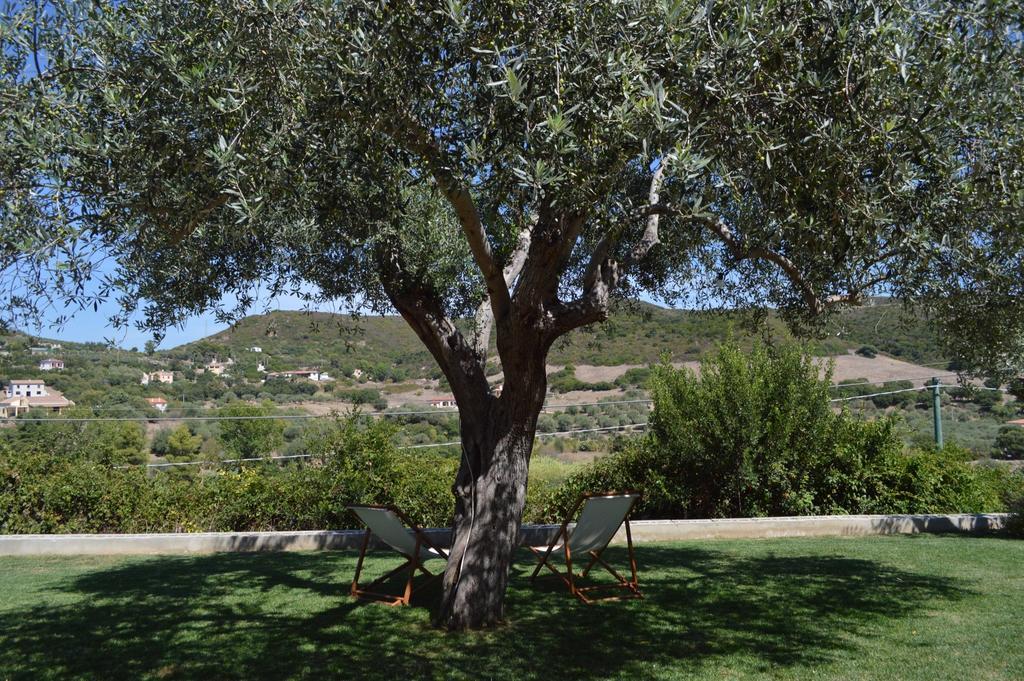 B&B Kapi Country Alghero Szoba fotó